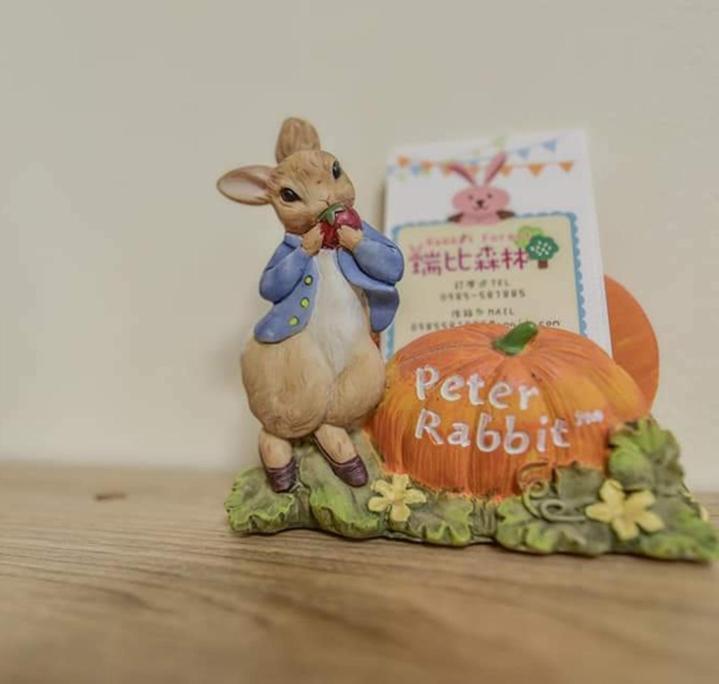 Rabbit Forest B&B Жуйсуй Екстер'єр фото